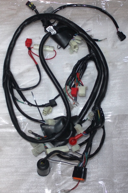 ARORA CAPPUCİNO-50 ELEKTRİK TESİSATI (EURO 5)